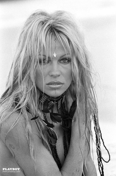 Pamela Anderson vuxenmodell bilder