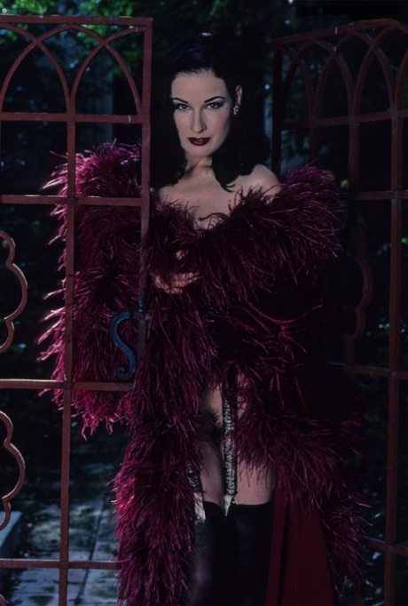 Dita von Teese konstmodell galleri